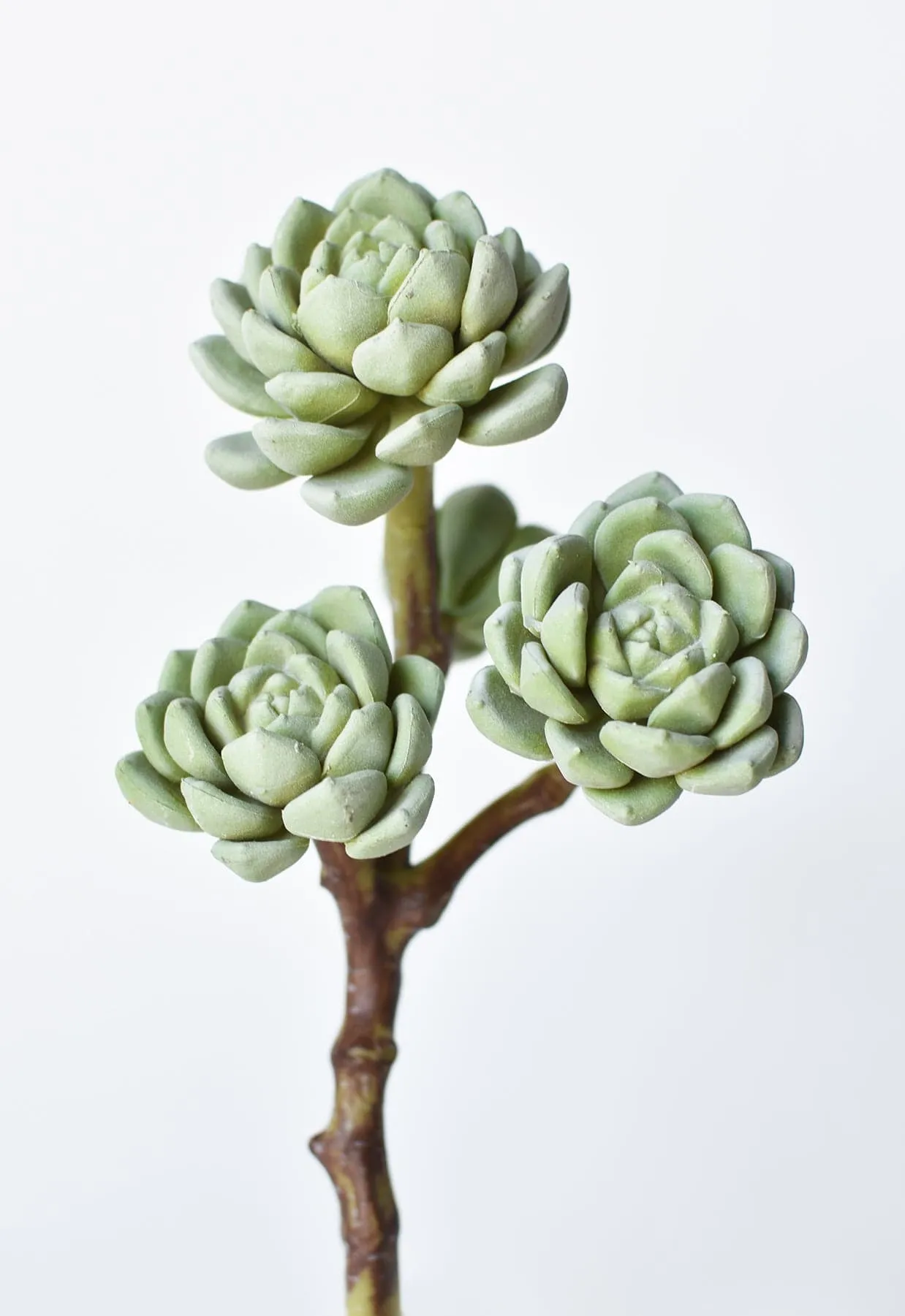 10" Faux Hen & Chicks Succulent Stem