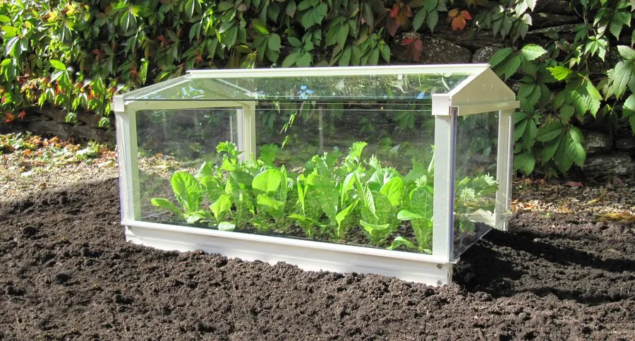 Access Garden Cloche