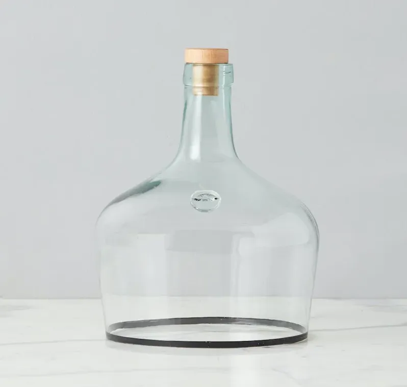 Demijohn Clear Cloche