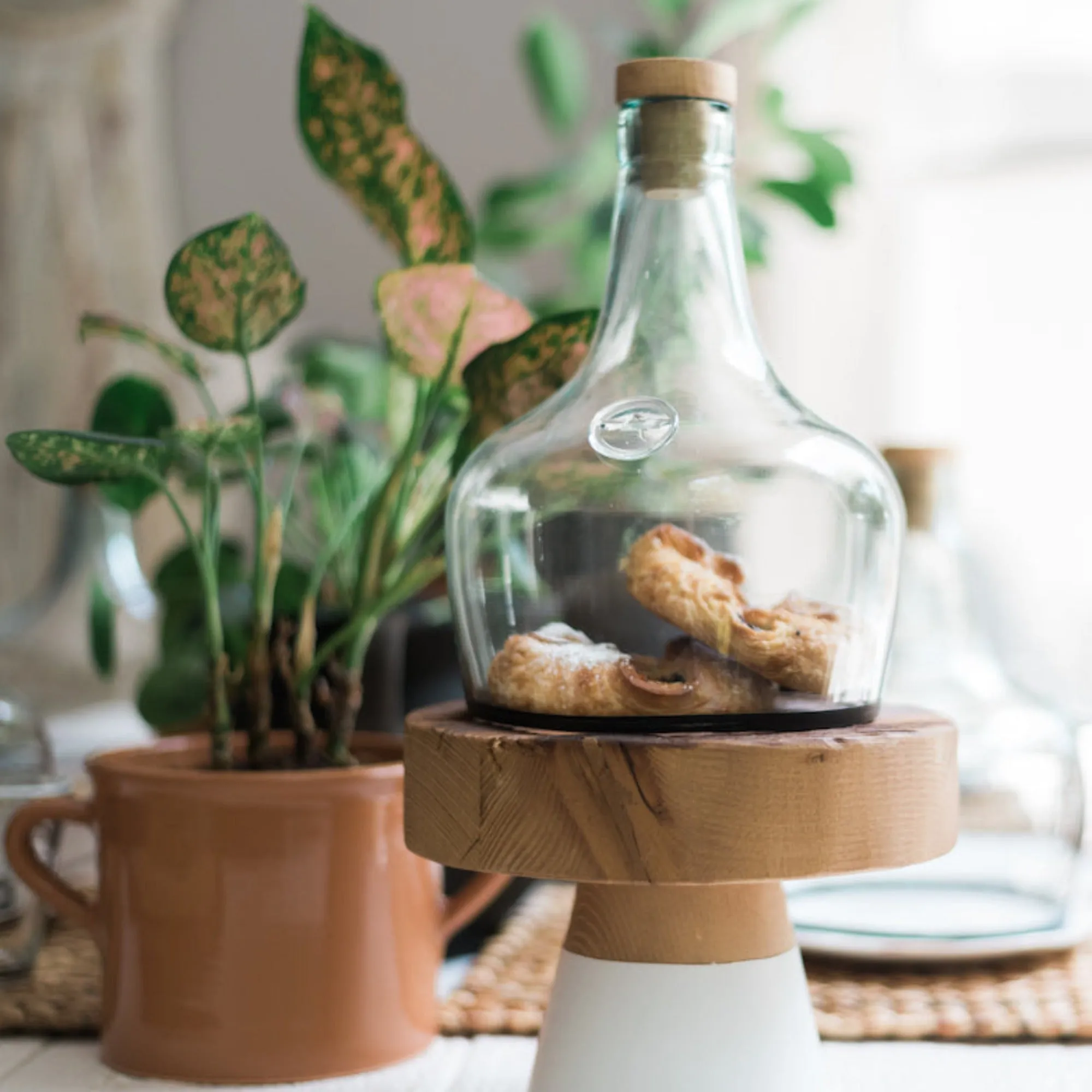 Demijohn Cloche