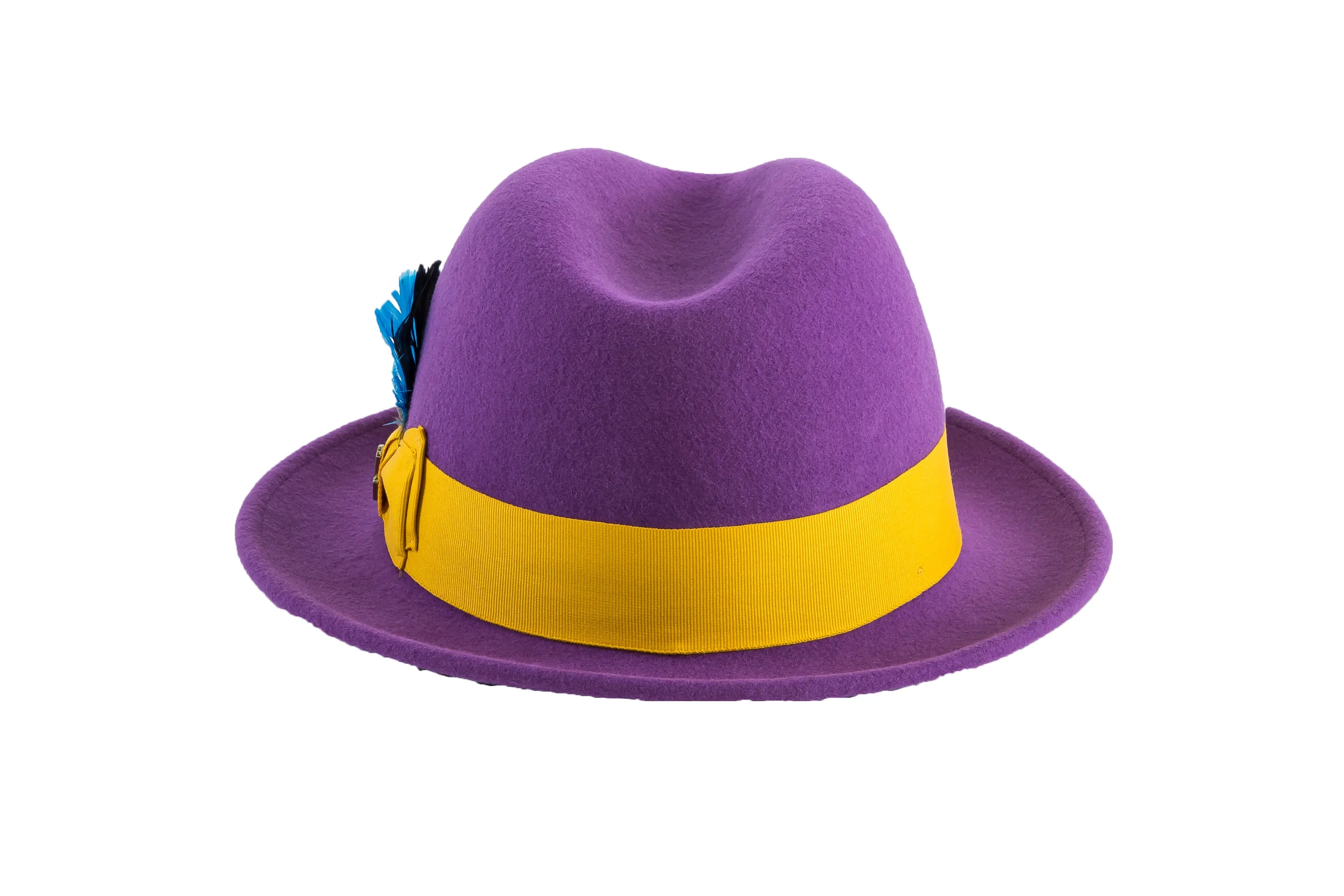 Ferrecci Brooks Soft 100% Australian Wool Felt Body with Removable Feather Fully Crushable purple hat Great for Travel